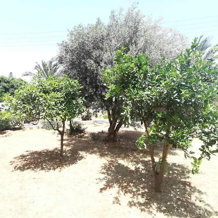 Drops Oda ve Kahvaltı Stalida